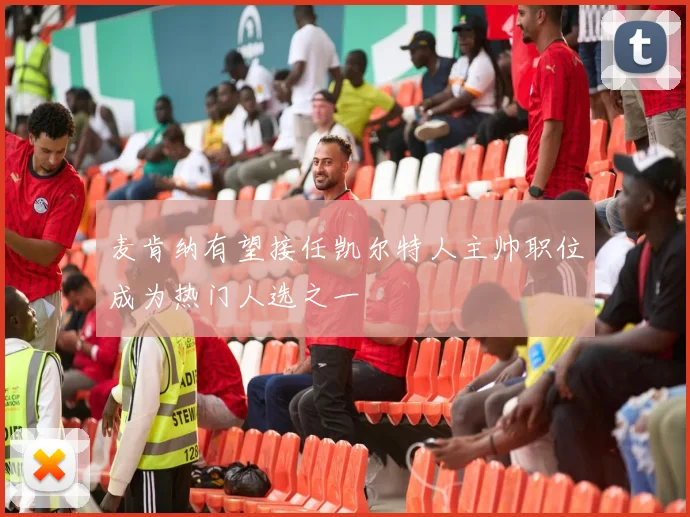 麦肯纳有望接任凯尔特人主帅职位成为热门人选之一