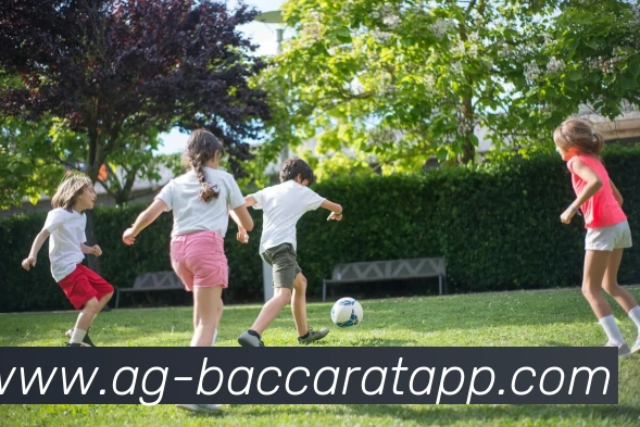 App Interface Preview